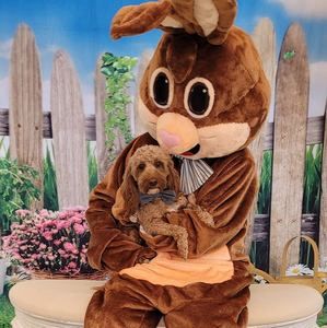 Meet your Posher, Patty